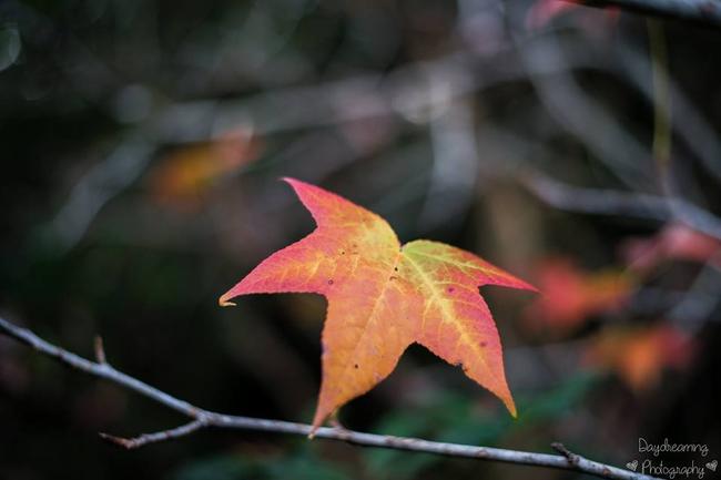 The days are getting shorter, and cooler. Picture: Liz Martin