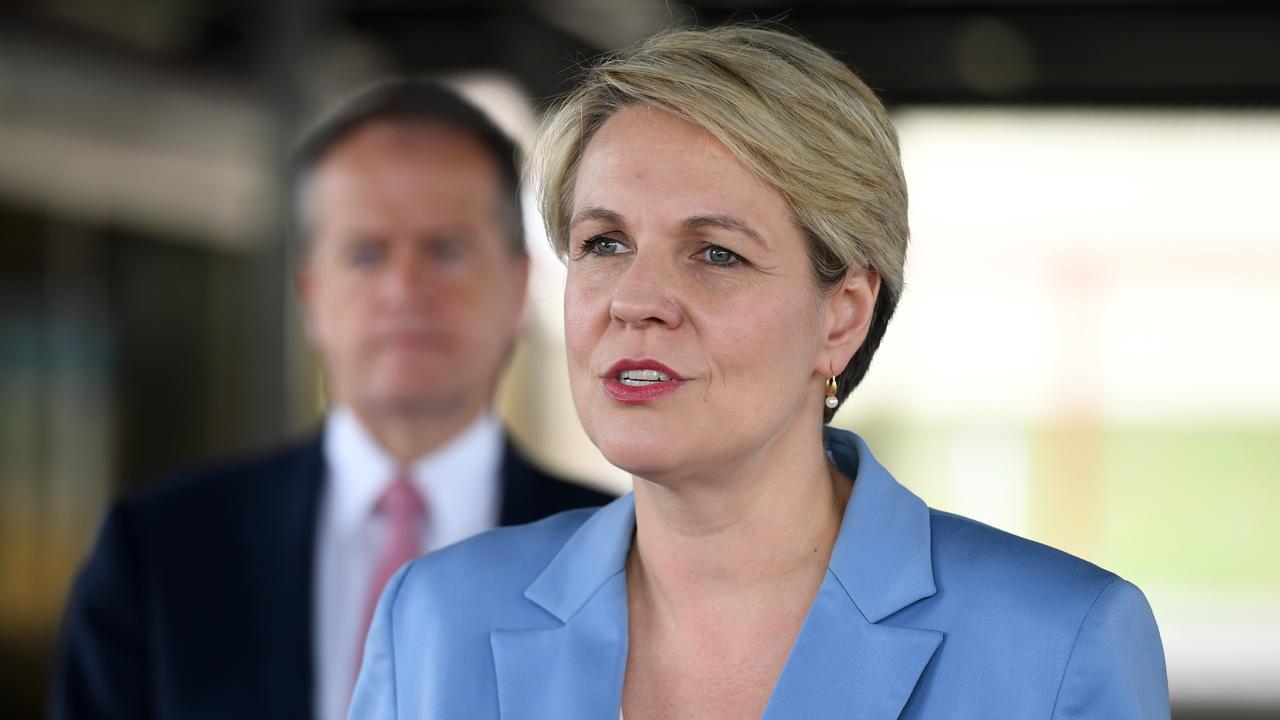 Deputy Federal Opposition Leader Tanya Plibersek initially said Labor didn’t plan to change the laws allowing schools to reject gay students. Picture: AAP