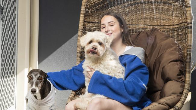 Double lung transplant recipient Savannah Fretwell 17, at home in Mudjimba with her dogs Pam and Maxx. Photo: Lachie Millard.