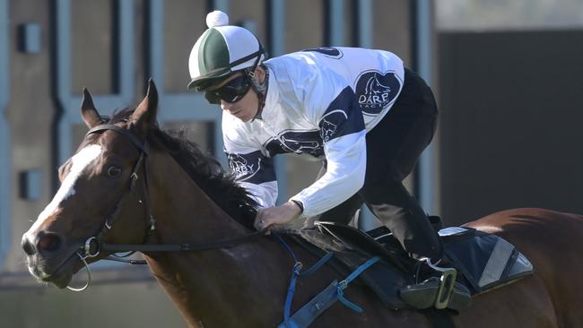 Overpass at a barrier trial at Rosehill. Photo by Jeremy Piper