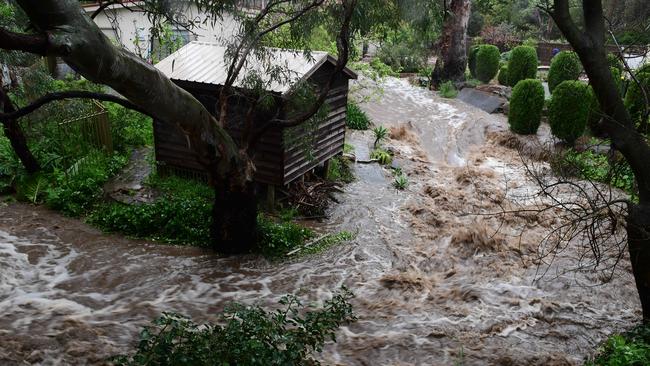 Brownhill Creek in flood in Torrens Park last September. Picture: Campbell Brodie