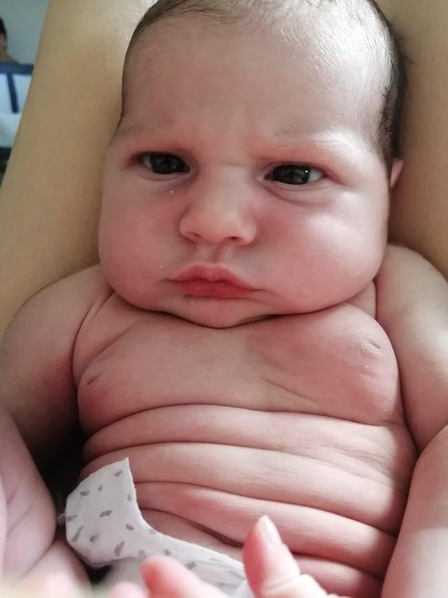 Sumo Florence with her gorgeous rolls. Picture: Katie (mum)