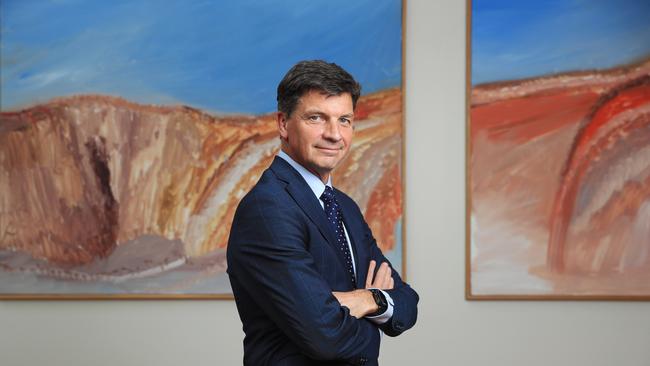 Federal Energy and Emissions Reduction Minister Angus Taylor. Picture: John Feder