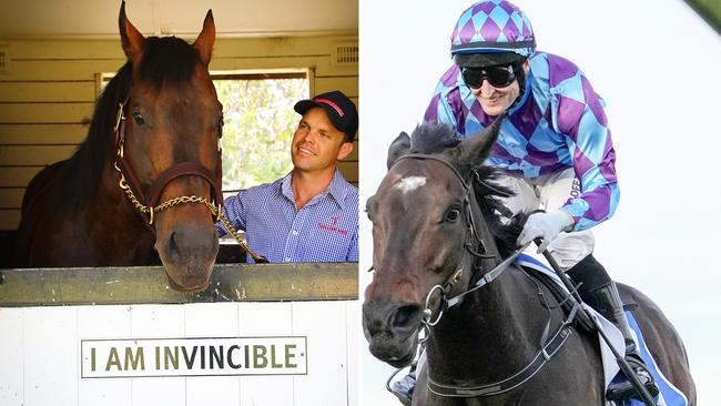 Superstar mare Pride Of Jenni (right) will visit champion stallion I Am Invincible (left) this season.