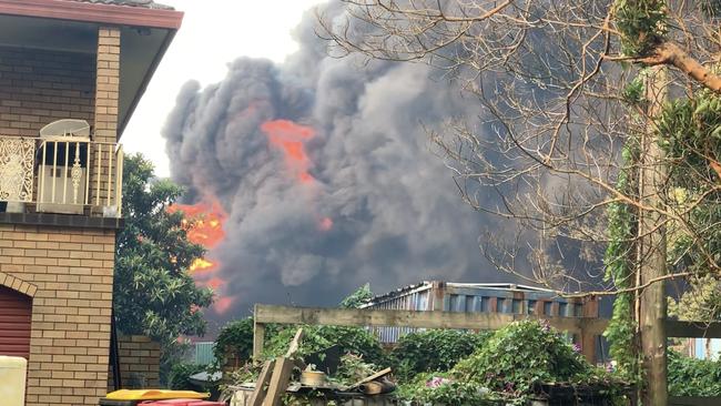 The firs threatens houses in Port Stephens. Picture: Supplied