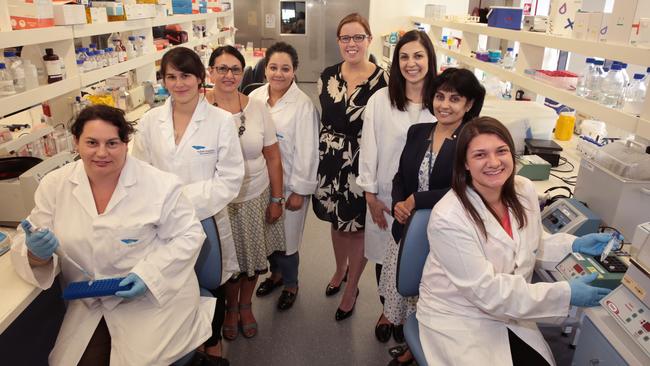 Some of the women at Ingham Institute, from left, Mila Sajinovic, Nicole Caixeiro, Afaf Girgis, Martha Gerges, Annie Walsh, Ivana Durcinoska, Minoti Apte and Grace Micali. Picture: ROBERT POZO