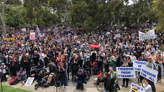 Members of the large crowd hold signs denouncing the Covid vaccine, vaccine mandates and celebrating freedom. Picture Keryn Stevens