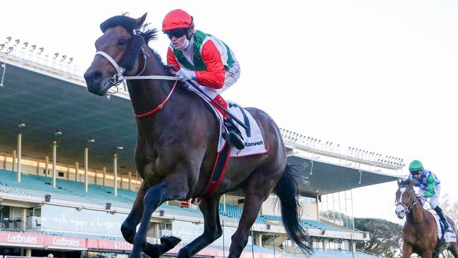 Pancho scored a tough win at The Valley. Picture: Racing Photos via Getty Images