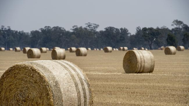 generic hay bale photos. hay bales in a paddock. harvest. farming. farm life. regional victoria. Picture: ZOE PHILLIPS