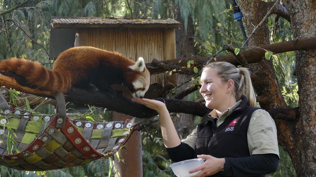 Mishry and zookeeper Laura Trollope. Picture: ZoosSA