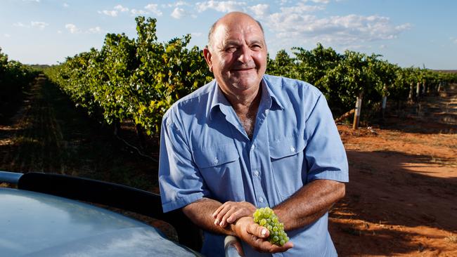 Jack Papageorgieou says he hopes the SA community will get behind the wine industry. Picture Matt Turner.