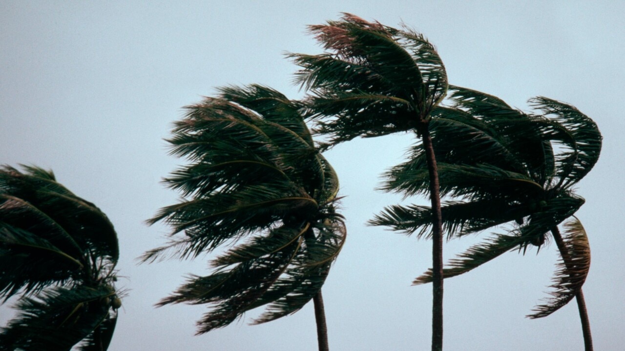 Tropical Cyclone Lincoln makes landfall