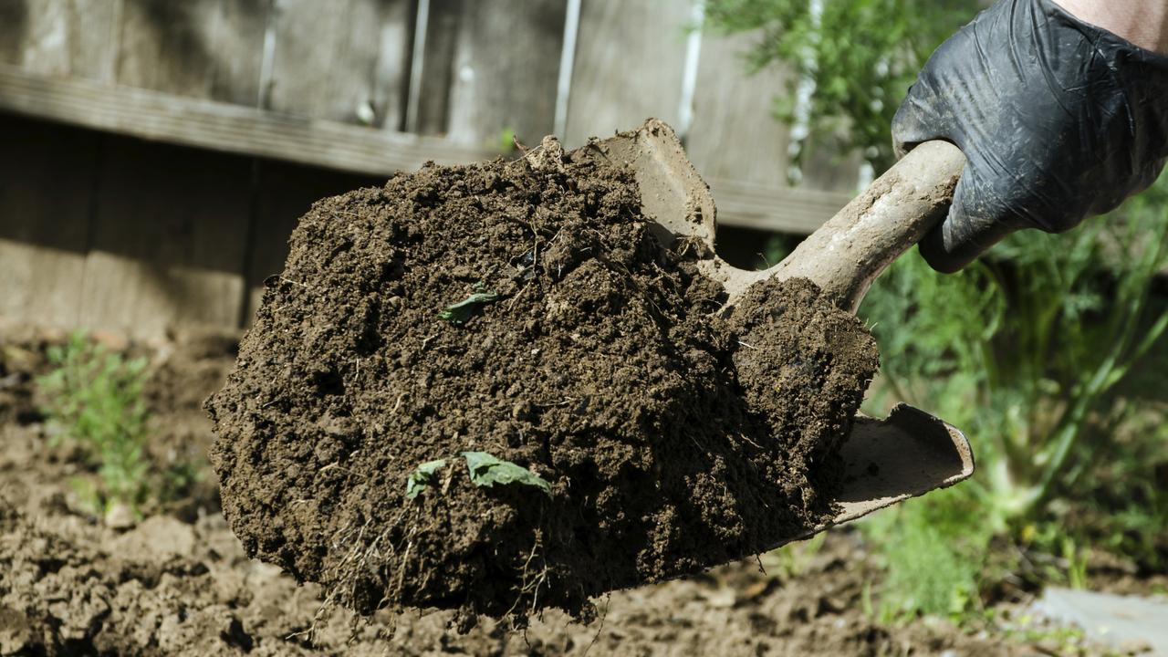 Soil-borne disease melioidosis is on the rise in north Queensland. File picture