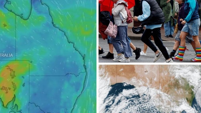 Millions will wake to an icy chill this morning as a polar snap blankets much of the southeast coast, marking the coldest morning of the year for several cities.