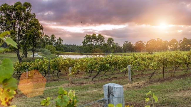 Unions are warning the government’s proposed net zero economy authority is needed or “regions like the Hunter Valley will die on the vine” as a result of mass power station closures. Picture: Escape