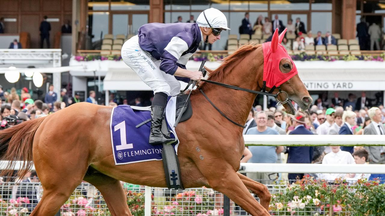 Serpentine will be looking for a drier surface on Saturday. Picture: George Sal/Racing Photos via Getty Images