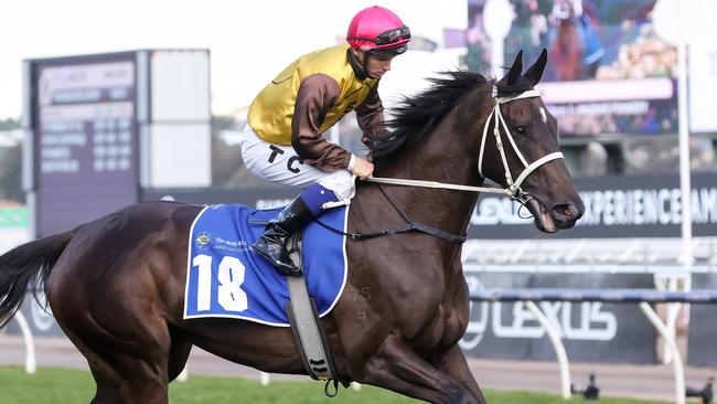 Foxy Cleopatra is an equal favourite for Saturday’s Ballarat Cup. Picture: George Sal/Racing Photos via Getty Images