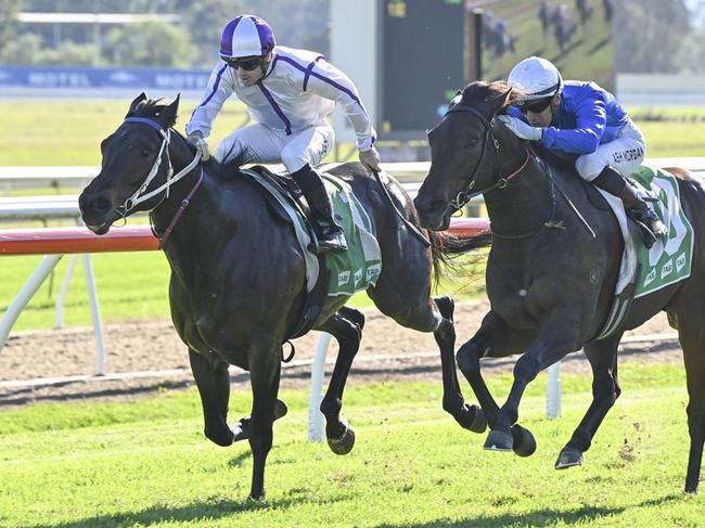 Cryptonic (left) finishing a close second to Setombe on debut at Hawkesbury on May 14, 2024. Picture: Bradley Photos