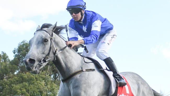 Super Solar is a great chance to post another win when he heads to Benalla on Tuesday. Picture: Racing Photos via Getty Images.