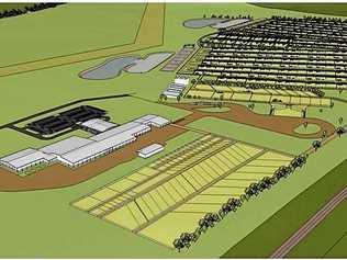 POTENTIAL: An artist's impression of the facility in Gladstone. Picture: Asia Pacific Agri-Corp