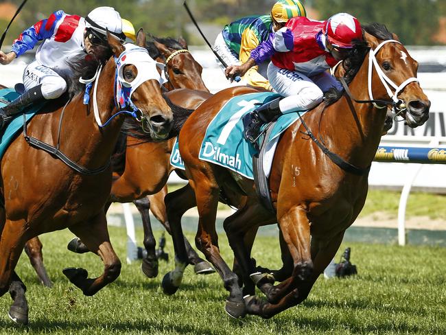 Lumosty (left) and Eclair Choice dead heat the Caufield Sprint. Picture: Colleen Petch