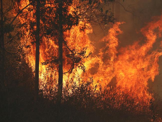 Firefighters battle bushfires in Busbys Flat, northern NSW, Wednesday, October 9, 2019. (AAP Image/Jason O'Brien)