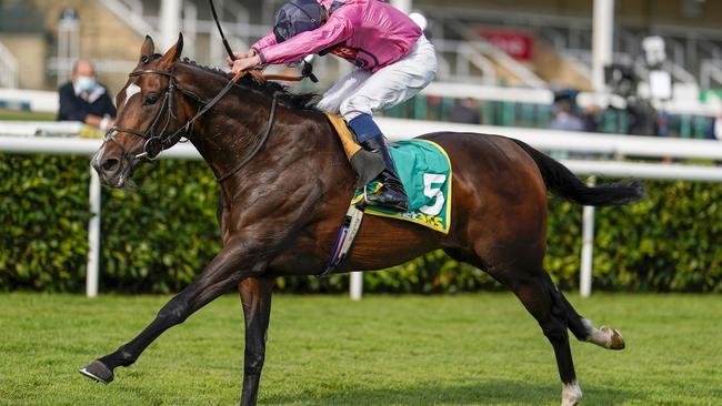 Spanish Mission in full flight winning the Doncaster Cup. Picture: Getty Images