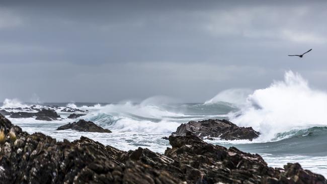 King Island’s City of Melbourne Bay, is where the ship City of Melbourne was stranded in 1852 and is one of multiple spots on the island which claimed hundreds of lives in the late 19th century. Picture: ANDREW WILSON/TOURISM TASMANIA