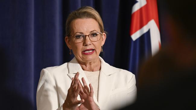 Opposition leader Sussan Ley has unveiled her shadow ministry. Picture: NewsWire/Martin Ollman