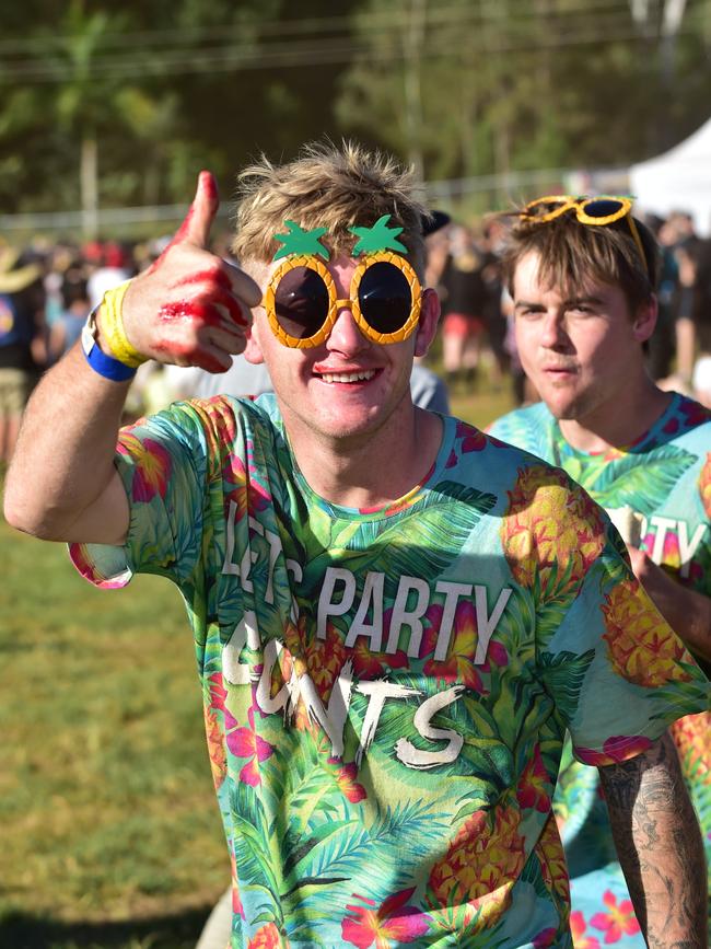 Festivalgoers at the Big Pineapple Music Festival in 2016.
