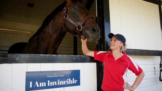 Three horses sired by I Am Invincible (pictured with groom Eva Maxwell) sold in the first two days for a total of $2.725M. Picture: Liam Driver