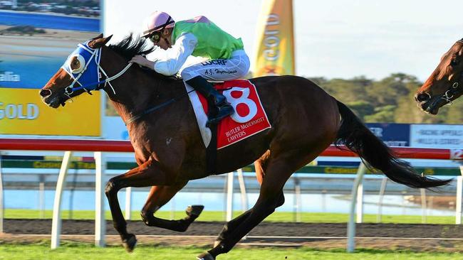 FAST: Adam Hyeronimus steers Monsieur Gustave to first place in the Glasshouse Handicap. Picture: John McCutcheon