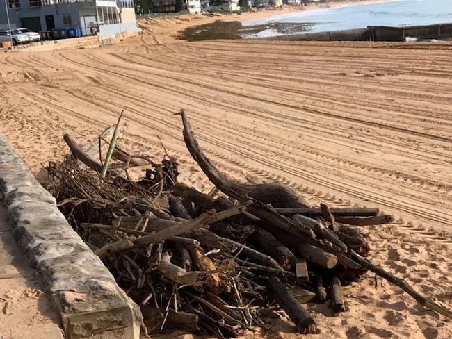 A pile of tree branches and dead shrubbery gathered up by a council clean-up crew after flood debris was deposited on Collaroy Beach. Picture: Northern Beaches Council