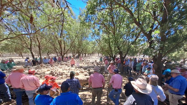 Buyers, vendors and livestock agents gather at the Deniliquin sheep sale. Picture: Jenny Kelly