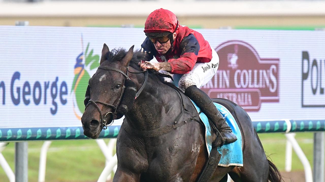 Another Group 1 on cards for boom Stradbroke fancy
