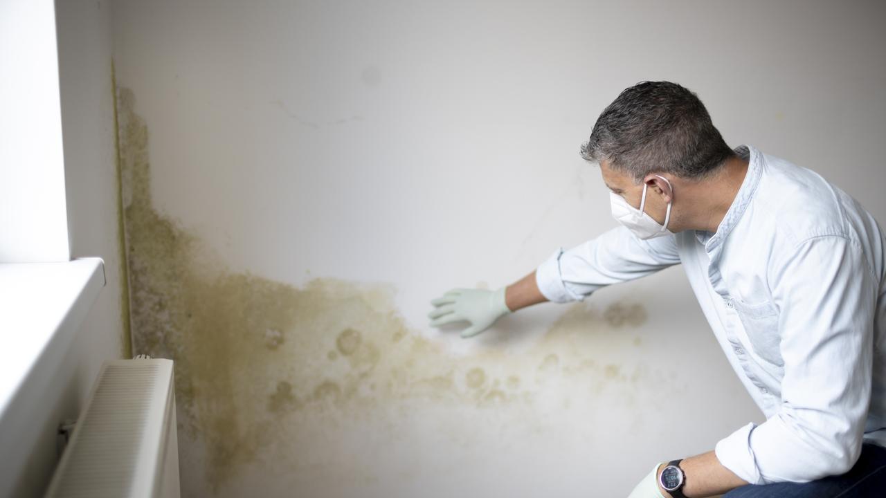 A good way of stopping mould from growing back is to control the moisture and dampness in your home. Picture: iStock