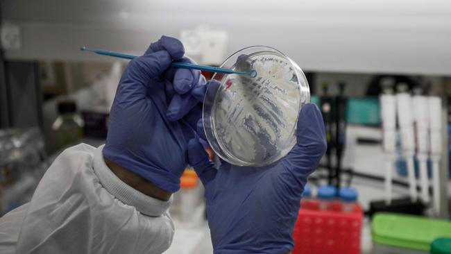 Australian scientists say Israel is one of several countries putting its resources into developing a vaccine for the virus. Picture: AFP