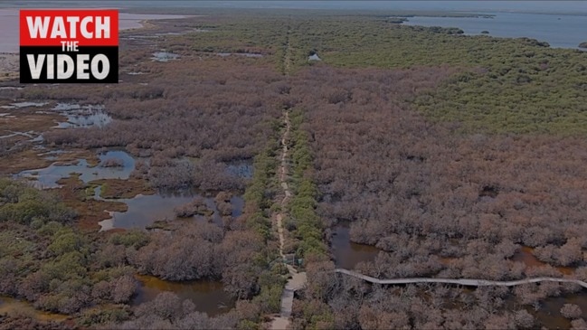 Save St Kilda mangroves by Alex Mausolf