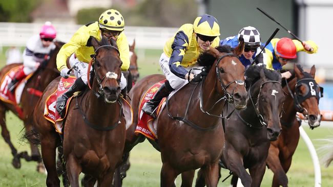 Amazing finish to the Caulfield Cup. Pic: Michael Klein