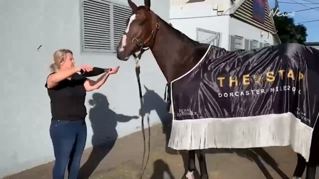 Doncaster winner Nettoyer enjoying pizza and champagne