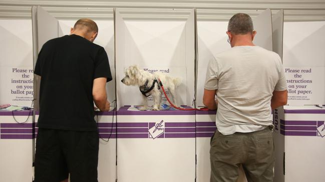 Australia’s voting system needs to be improved, Peta Credlin writes. Picture: AAP/Bob Barker