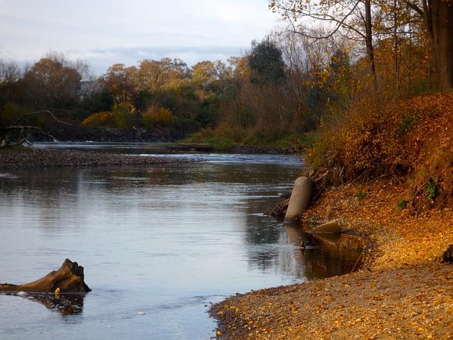 The gorgeous Ovens River. Autumn is the best time to visit the region. 