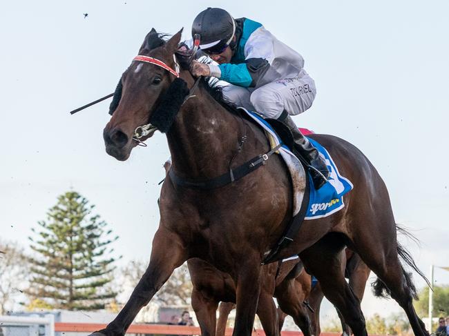 Lingani hits the line to win the Listed Lightning Stakes. Picture: Makoto Kaneko