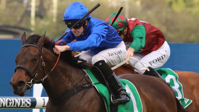 Arbitration can maintain her unbeaten record at Warwick Farm. Picture: Grant Guy
