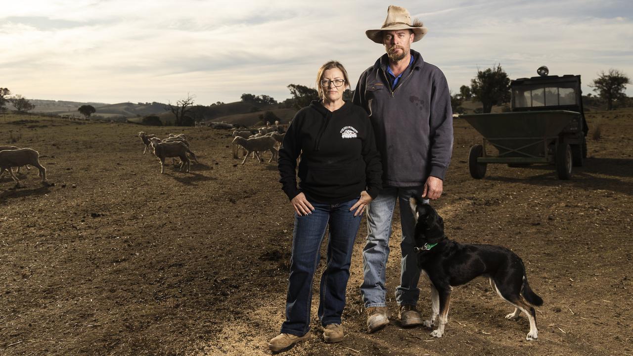 Fourth-generation Yass Valley farmers Bec and Stephen Murray are hand-feeding their sheep. Picture: Hilary Wardhaugh