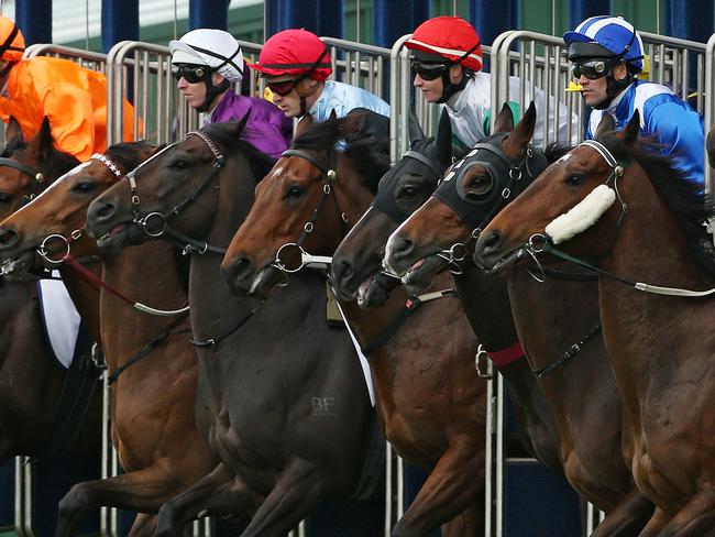 Blue Sapphire Stakes Day at Caulfield Racecourse, Race1 - Racing.com PLate 2000m, The horses jump out of the barriers. Melbourne. 15th October 2014. Picture : Colleen Petch.