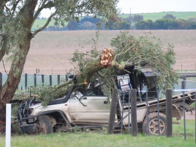 Alfredton man killed in tree smash