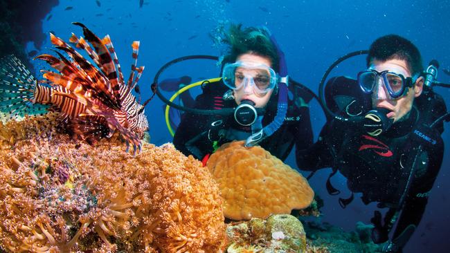 Scuba diving on the Great Barrier Reef. Picture: TTNQ