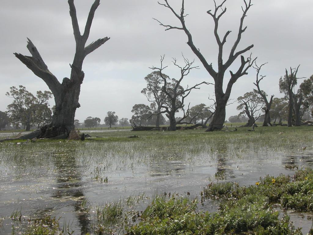 West Wimmera’s wetlands. Picture: Supplied