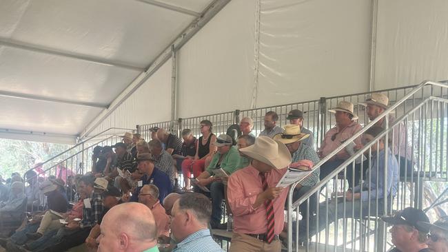 Buyers gather during the on-property sale at Injemira Beef Genetics, Book Book in southern NSW. Picture: Nikki Reynolds
